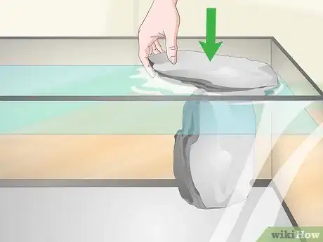 Imagen titulada Take Care of Mini Pet Turtles Step 4