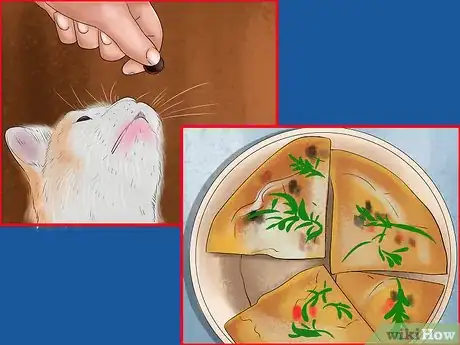 Imagen titulada Tell if Your Cat Has a Food Intolerance Step 8