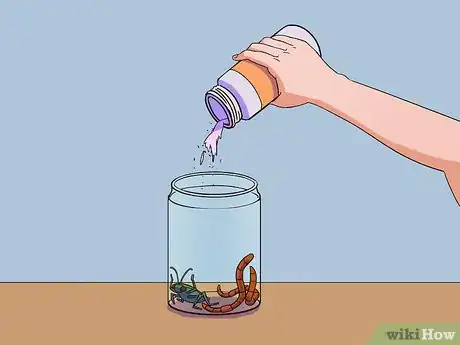 Imagen titulada Feed a Salamander Step 9