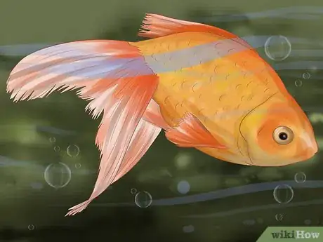 Imagen titulada Keep Your Fish from Dying Step 12