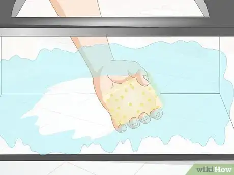 Imagen titulada Keep a Turtle Healthy Step 3