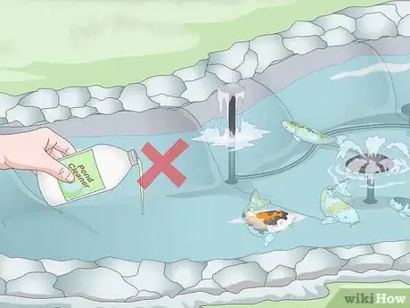 Imagen titulada Raise Koi Step 10