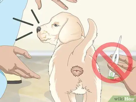 Imagen titulada Measure a Dog's Temperature Step 7