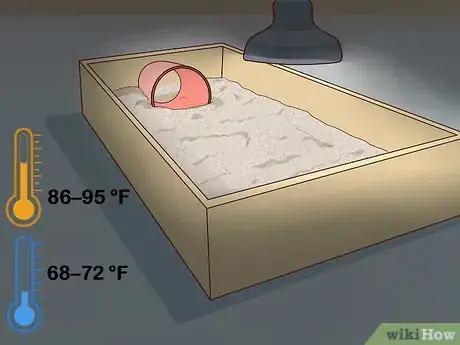 Imagen titulada Take Care of a Russian Tortoise Step 4
