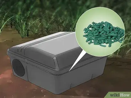 Imagen titulada Kill Voles Step 6