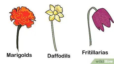 Imagen titulada Get Rid of Moles in Your Lawn Step 7
