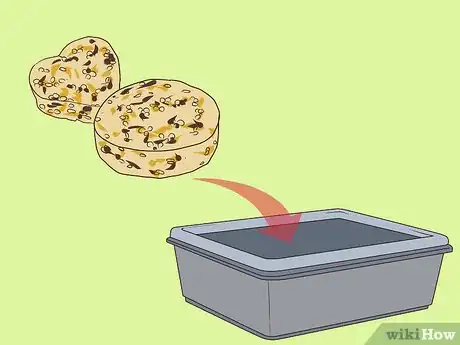 Imagen titulada Make a Squirrel Feeder Step 22