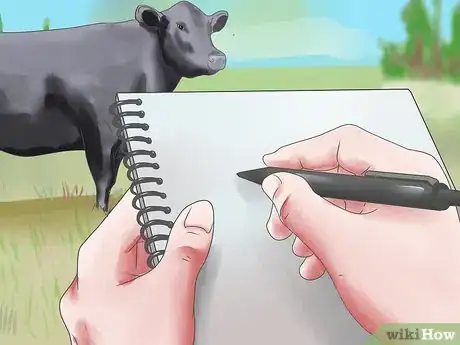 Imagen titulada Raise Black Angus Cattle Step 6
