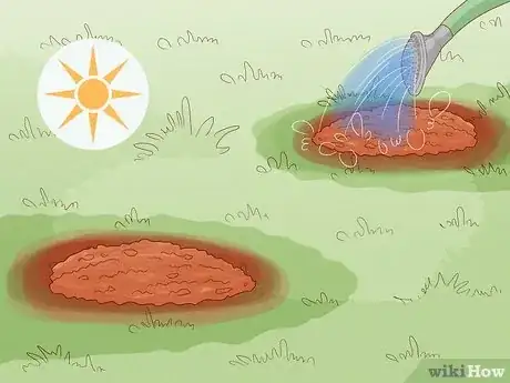 Imagen titulada Plant Bulbs in Grass Step 20