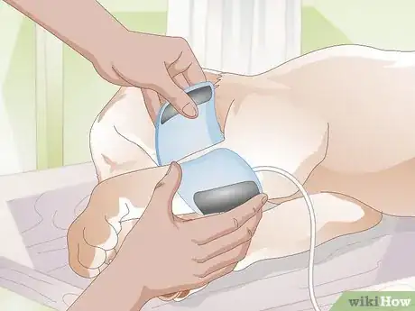 Imagen titulada Take a Dog's Blood Pressure Step 3