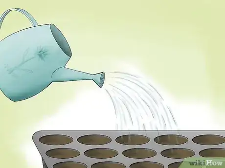 Imagen titulada Grow Millet Step 6
