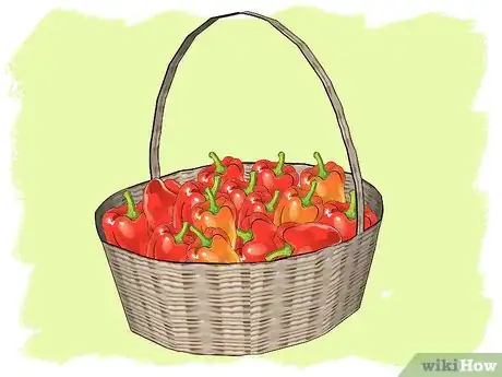 Imagen titulada Grow Peppers Step 16