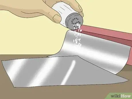 Imagen titulada Clean an Iron with Salt Step 4