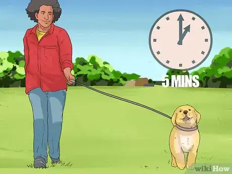 Imagen titulada Start Walking Your Puppy Step 9