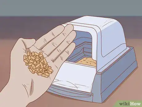 Imagen titulada Keep Litter from Clumping in Your Kitty's Paws Step 3