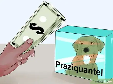 Imagen titulada Get Rid of Tapeworms in a Puppy Step 2