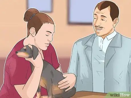 Imagen titulada Treat Back Problems in Dachshunds Step 6