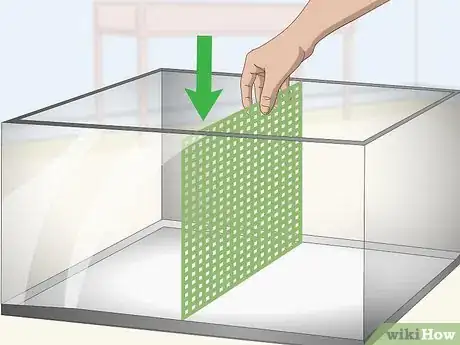 Imagen titulada Make a Fish Tank Divider Step 2
