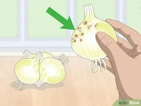 Imagen titulada Check if Vegetables Are Spoiled Step 8