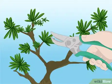 Imagen titulada Propagate Azaleas Step 11