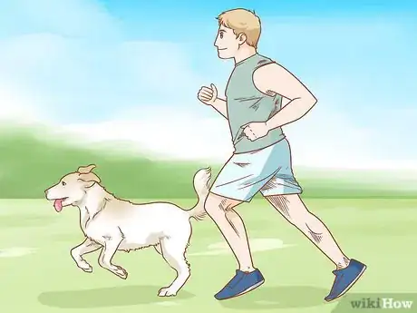 Imagen titulada Care for Dogs Step 8