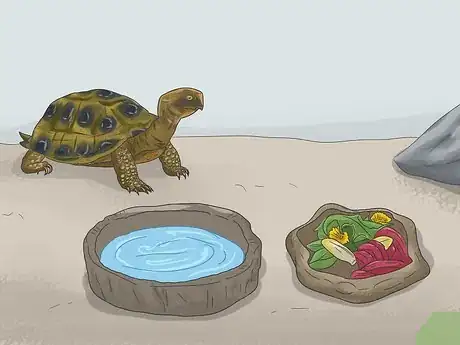Imagen titulada Make A Habitat for Hermann’s Tortoises Step 12