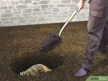 Imagen titulada Kill Raccoons Step 6