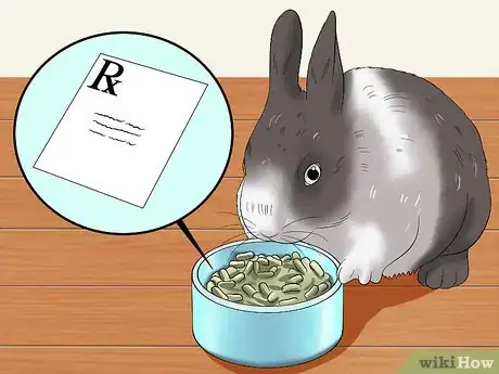 Imagen titulada Care for a Sneezing Rabbit Step 9