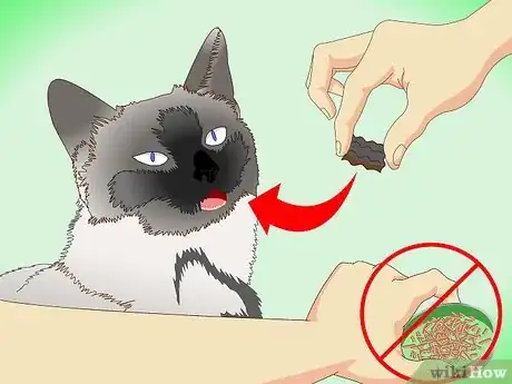 Imagen titulada Get Rid of Dry Skin on Cats Step 2