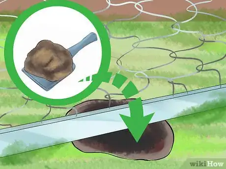 Imagen titulada Catch a Pet Rabbit Step 14
