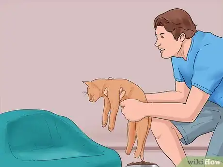 Imagen titulada Bring a Second Cat Into the Family and Not Make Your Old Cat Upset Step 13