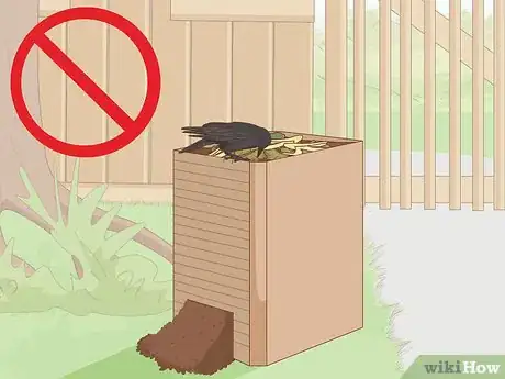 Imagen titulada Get Rid of Crows Step 2