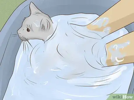 Imagen titulada Make a Homemade Cat Spa Step 4