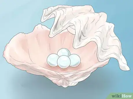 Imagen titulada Buy Pearls Step 1