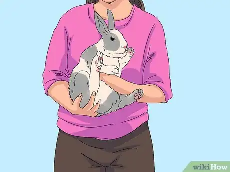 Imagen titulada Pick up a Rabbit Step 5