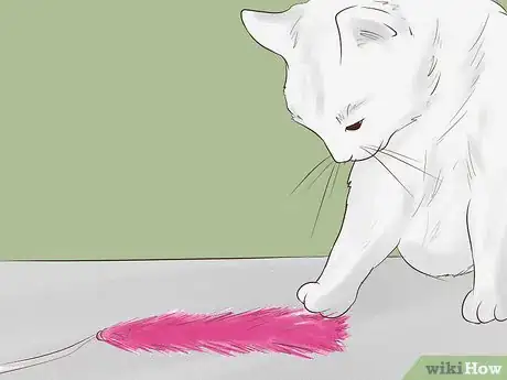 Imagen titulada Make a Homemade Cat Spa Step 9