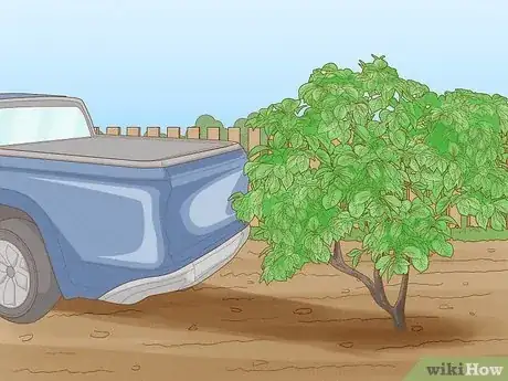Imagen titulada Remove Bushes Step 1
