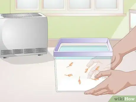 Imagen titulada Care for Sea Monkeys Step 9