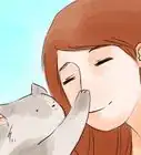 averiguar cuál es tu animal espiritual