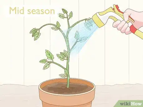 Imagen titulada Get Rid of Red Spider Mites Organically Step 13