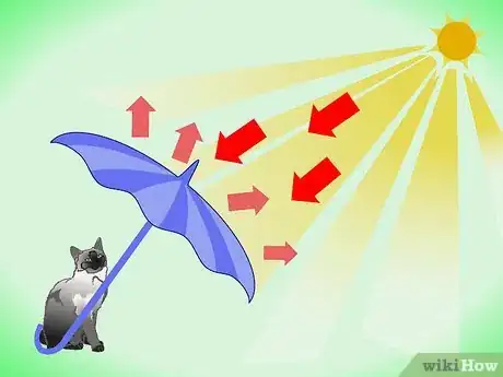 Imagen titulada Get Rid of Dry Skin on Cats Step 3