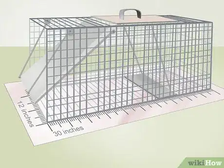 Imagen titulada Trap a Possum Step 1