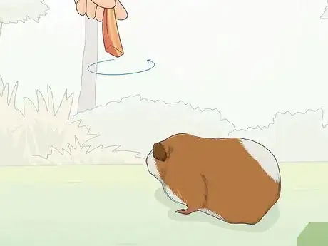 Imagen titulada Train Your Guinea Pig Step 3