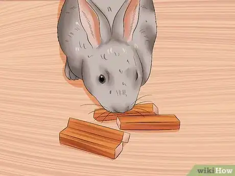 Imagen titulada Calm a Rabbit Step 6