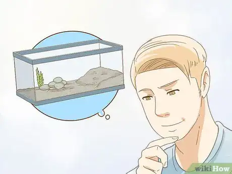 Imagen titulada Care for a Red Eared Slider Turtle Step 3