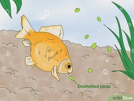 Imagen titulada Tell if Your Fish Is Dead Step 9