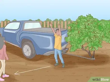 Imagen titulada Remove Bushes Step 4