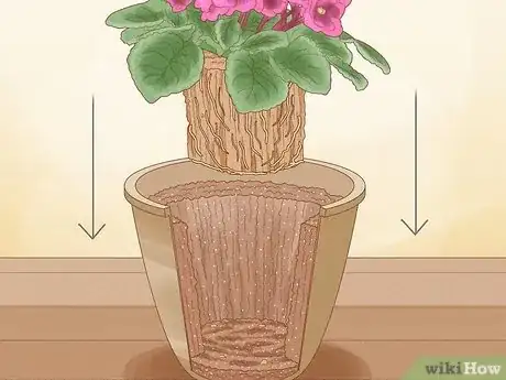 Imagen titulada Repot African Violets Step 10