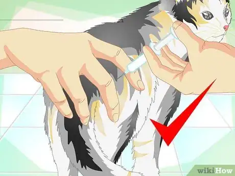 Imagen titulada Treat Cat Eye Infection Step 7
