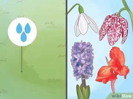 Imagen titulada Plant Bulbs in Grass Step 8